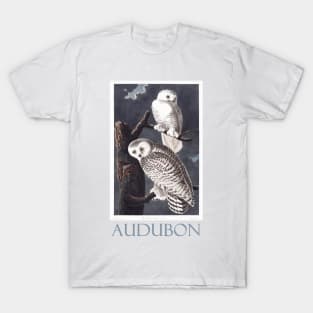 Snowy Owl by John James Audubon T-Shirt